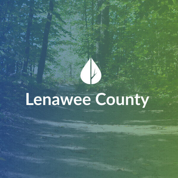 lenawee county